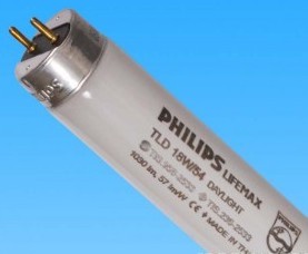54ɫ�ƹ� PHILIPS TLD18W/54 MADE IN THAILAND 60cm