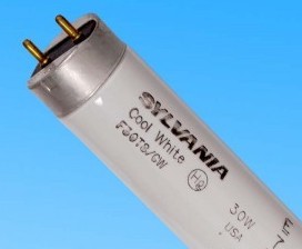CWF�ƹ� SYLVANIA F30T8/CW USA 90cm